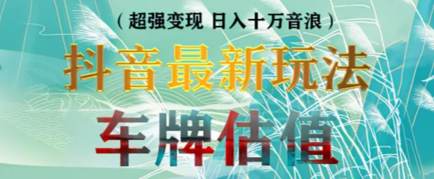 抖音最新无人直播变现直播车牌估值玩法项目，轻松日赚几百+【详细玩法教程】-苏柒资源库