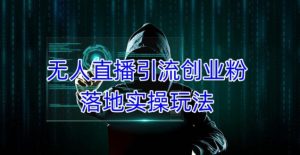 外面收费3980的无人直播引流创业粉落地实操玩法，单日引100+精准创业粉-苏柒资源库