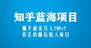 知乎蓝海玩法,躺平副业月入1W+,真正的睡后收入项目(6节视频课)-苏柒资源库