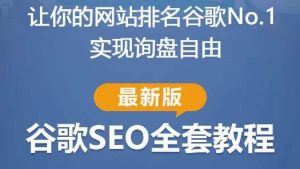 谷歌SEO实战教程:如何让你的网站在谷歌排名第一,内容从入门到高阶,适合个人及团队-苏柒资源库