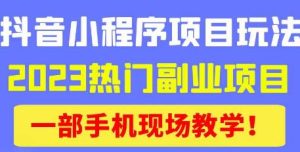 抖音小程序9.0新技巧,2023热门副业项目,动动手指轻松变现-苏柒资源库