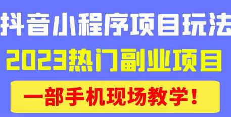 抖音小程序9.0新技巧，2023热门副业项目，动动手指轻松变现-苏柒资源库