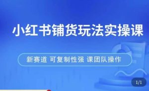 小红书铺货玩法实操课,流量大,竞争小,非常好做,新赛道,可复制性强,可团队操作-苏柒资源库