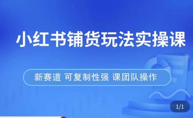 小红书铺货玩法实操课，流量大，竞争小，非常好做，新赛道，可复制性强，可团队操作-苏柒资源库