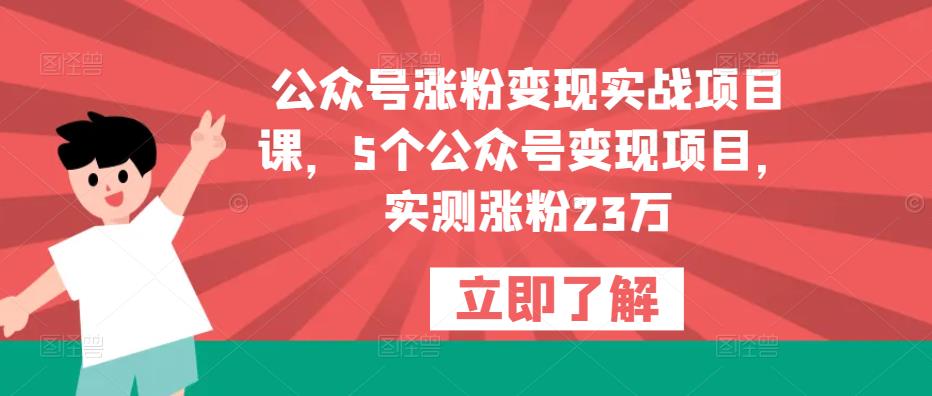 公众号涨粉变现实战项目课,5个公众号变现项目,实测涨粉23万-苏柒资源库