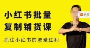张宾·小红书批量复制铺货课,小红书0-1快速起号变现玩法,抓住小红书的流量红利(更新2023年3月)-苏柒资源库