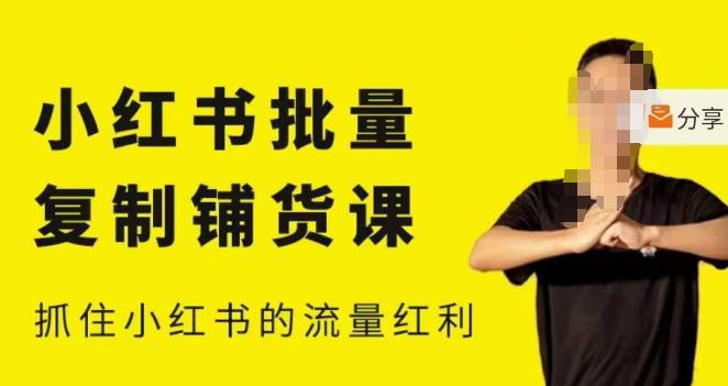 张宾·小红书批量复制铺货课，小红书0-1快速起号变现玩法，抓住小红书的流量红利（更新2023年3月）-苏柒资源库