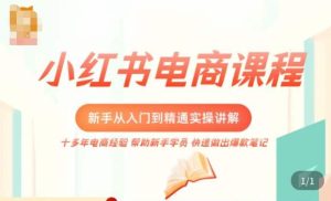 小红书电商新手入门到精通实操课，从入门到精通做爆款笔记，开店运营-苏柒资源库