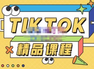 电商孵化中心·TikTok精品课程,教你玩转海外抖音,低成本创业,带您从0开始玩转TikTok-苏柒资源库