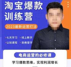 爱上黄昏·淘宝爆款训练营，2023最新运营打法，学习爆款思维，实现利润增长-苏柒资源库