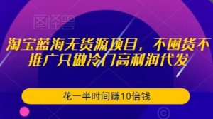 淘宝蓝海无货源项目,不囤货不推广只做冷门高利润代发,花一半时间赚10倍钱-苏柒资源库