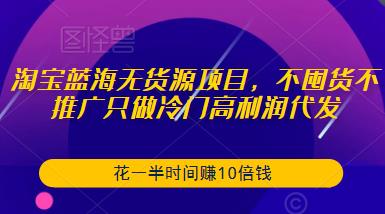 淘宝蓝海无货源项目，不囤货不推广只做冷门高利润代发，花一半时间赚10倍钱-苏柒资源库