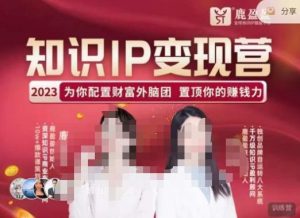 鹿盈盈-知识IP变现实操营,普通人可复制的知识产品落地实操课,带你打通知识IP变现底层逻辑-苏柒资源库