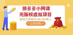 黄岛主·拼多多小网课无版权虚拟项目分享课:起店之后每天100-200收入-苏柒资源库