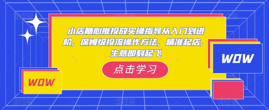 小店随心推投放实操指导从入门到进阶，保姆级投流操作方法，精准起店，生意即刻起飞-苏柒资源库