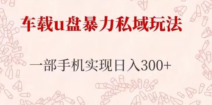 车载u盘暴力私域玩法，长期项目，仅需一部手机实现日入300+-苏柒资源库