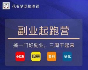 花爷-副业起跑营第2期,挑一门好副业,三周干起来(闲鱼|小红书|量化|套利)-苏柒资源库