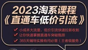 2023直通车低价引流玩法课程，小成本大流量，低价引流快速拉新收割，让你快速掌握直通车突破瓶颈-苏柒资源库