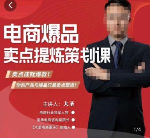 大圣·电商标品爆款卖点策划课，标品卖点成就爆款，可落地卖点提炼课-苏柒资源库