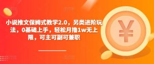 小说推文保姆式教学2.0，另类进阶玩法，0基础上手，轻松月撸1w无上限，可主可副可兼职-苏柒资源库