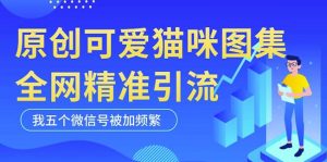 黑科技纯原创可爱猫咪图片，全网精准引流，实操5个VX号被加频繁-苏柒资源库