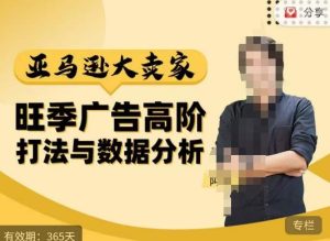 阿甘·亚马逊大卖家广告高阶打法与数据分析,走出传统广告误区;揭秘大卖惯用打法;数据驱动广告决策-苏柒资源库
