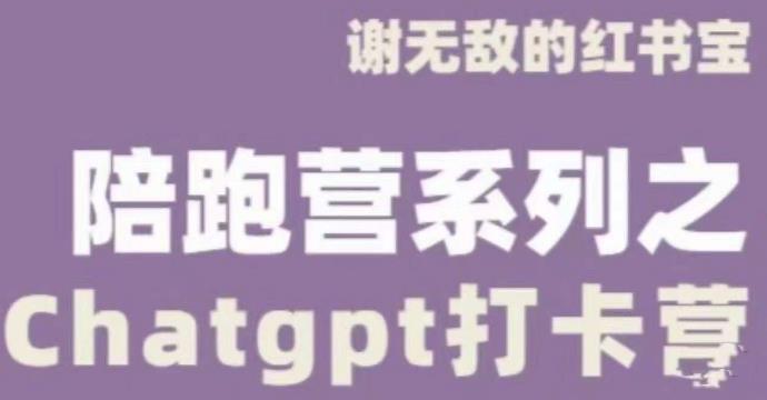 谢无敌ChatGPT打卡营，教你更好地使用ChatGPT来提高工作效率-苏柒资源库