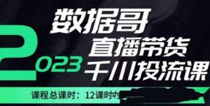 数据哥2023直播电商巨量千川付费投流实操课,快速掌握直播带货运营投放策略-苏柒资源库