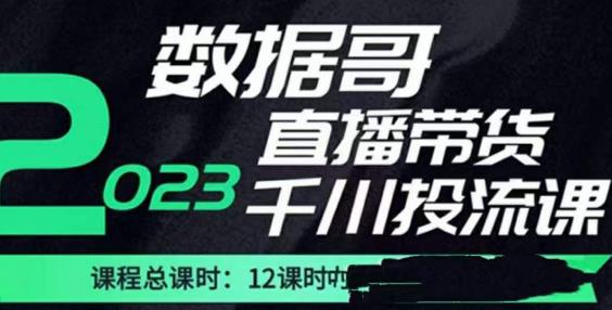 数据哥2023直播电商巨量千川付费投流实操课，快速掌握直播带货运营投放策略-苏柒资源库