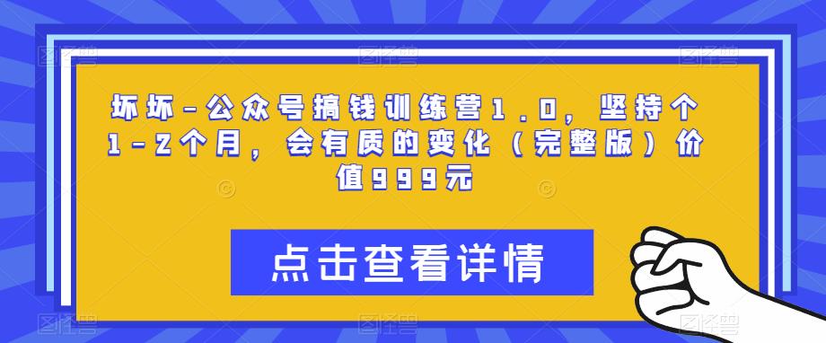坏坏-公众号搞钱训练营1.0，坚持个1-2个月，会有质的变化（完整版）价值999元-苏柒资源库