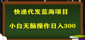 2023最新蓝海快递代发项目,小白零成本照抄也能日入300+-苏柒资源库