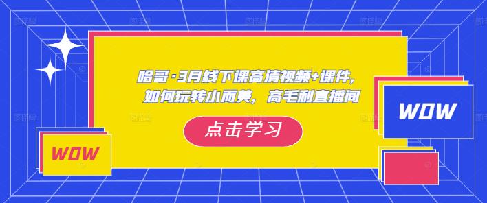 哈哥·3月线下实操课高清视频+课件，如何玩转小而美，高毛利直播间-苏柒资源库