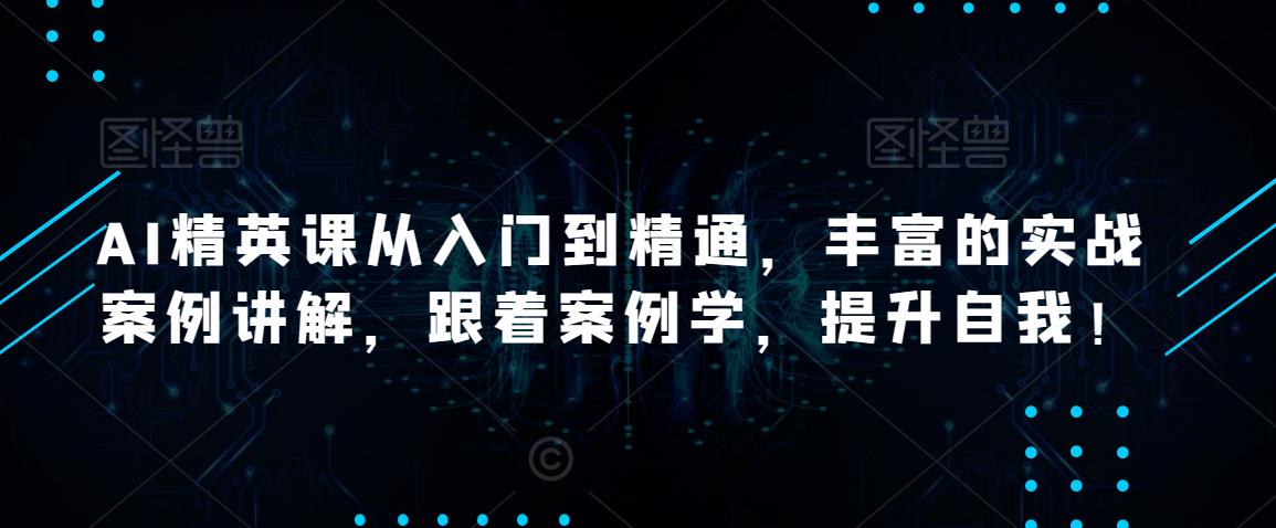 AI精英课从入门到精通，丰富的实战案例讲解，跟着案例学，提升自我！-苏柒资源库