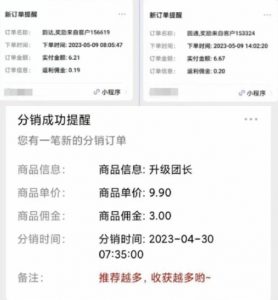 快递代发CPS,月入万元,不起眼却很赚钱的信息差项目【揭秘】-苏柒资源库