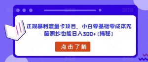 正规暴利流量卡项目,小白零基础零成本无脑照抄也能日入300+【揭秘】-苏柒资源库