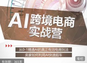 白龙老师·AI跨境电商实战营:从0-1精通Al的真正有效电商玩法,卖家如何利用Al快速超车-苏柒资源库
