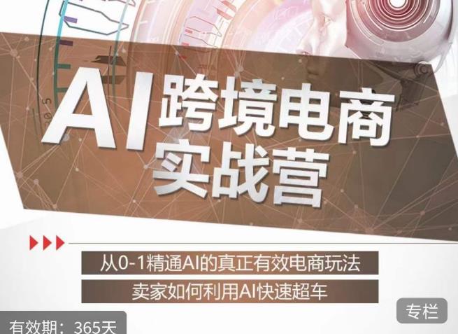 白龙老师·AI跨境电商实战营:从0-1精通Al的真正有效电商玩法,卖家如何利用Al快速超车-苏柒资源库