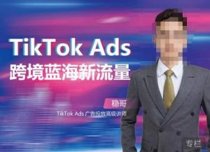 稳哥·如何投出高ROI的TikTok广告,开拓独立站卖家流量新蓝海-苏柒资源库