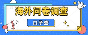 外面收费5000+海外问卷调查口子查项目,认真做单机一天200+【揭秘】-苏柒资源库