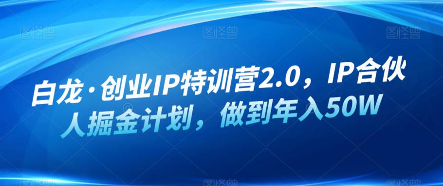 白龙·创业IP特训营2.0，IP合伙人掘金计划，做到年入50W-苏柒资源库