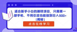适合新手小白的搬砖项目，只需要一部手机、不用引流也能做到日入300+【揭秘】-苏柒资源库