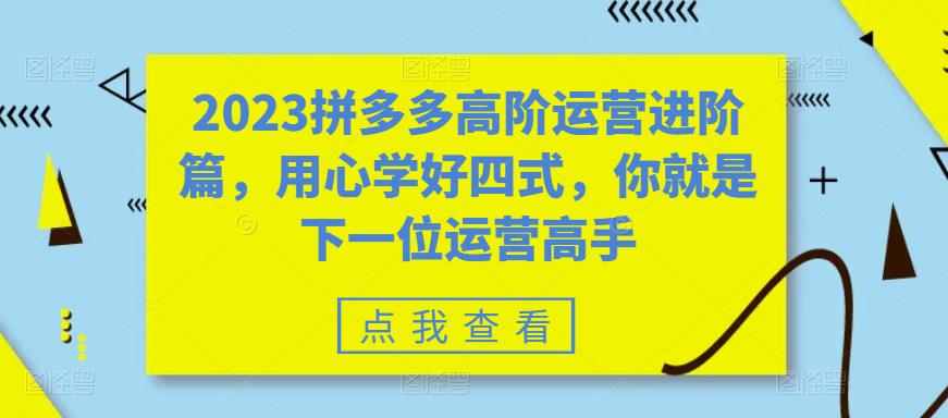 2023拼多多高阶运营进阶篇，用心学好四式，你就是下一位运营高手-苏柒资源库
