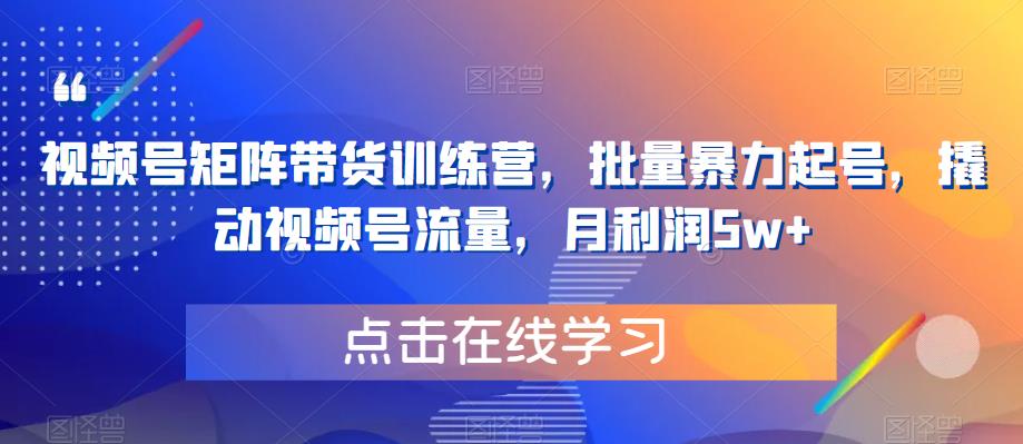 视频号矩阵带货训练营，批量暴力起号，撬动视频号流量，月利润5w+-苏柒资源库