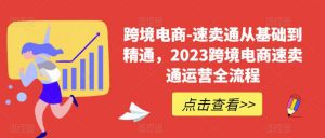 跨境电商-速卖通从基础到精通,2023跨境电商速卖通运营全流程-苏柒资源库