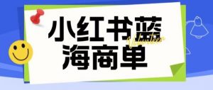 价值2980的小红书商单项目暴力起号玩法,一单收益200-300(可批量放大)-苏柒资源库