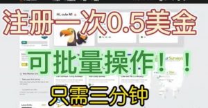 国外项目注册一次0.5美金,只需三分钟无脑操作,可批量同时放大操作,小白工作室福利【揭秘】-苏柒资源库