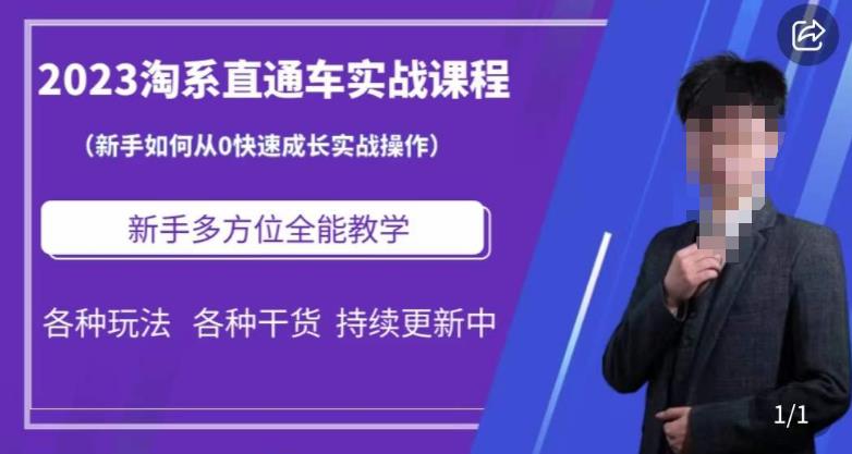 2023淘系直通车保姆式运营讲解，新手如何从0快速成长实战操作，新手多方位全能教学-苏柒资源库