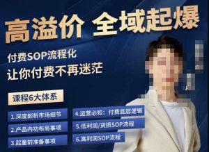 逸风-拼多多高溢价全域起爆，6大课程体系，付费玩法全套实操-苏柒资源库