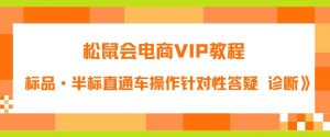 松鼠会电商VIP教程:松鼠《付费推广标品·半标直通车操作针对性答疑&诊断》-苏柒资源库