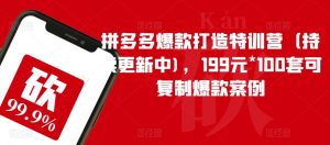 拼多多爆款打造特训营（持续更新中)，199元*100套可复制爆款案例-苏柒资源库